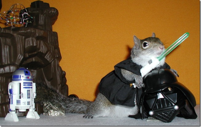 Ardilla Vader