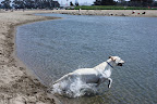 IMG_0460.JPG