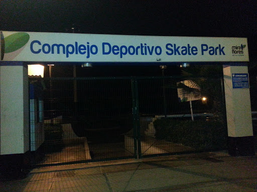 Complejo Deportivo Skate Park