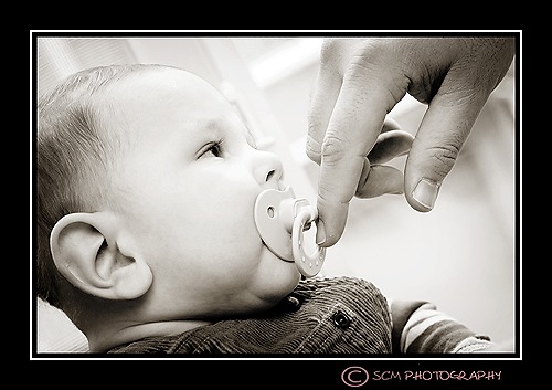 [DSC_0151blk[3].jpg]