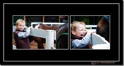 Untitled-1horse laugh