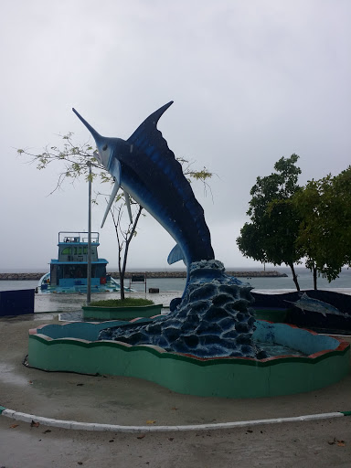 Sailfish Sculpture at Meedhoo