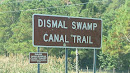 Dismal Swamp Trail