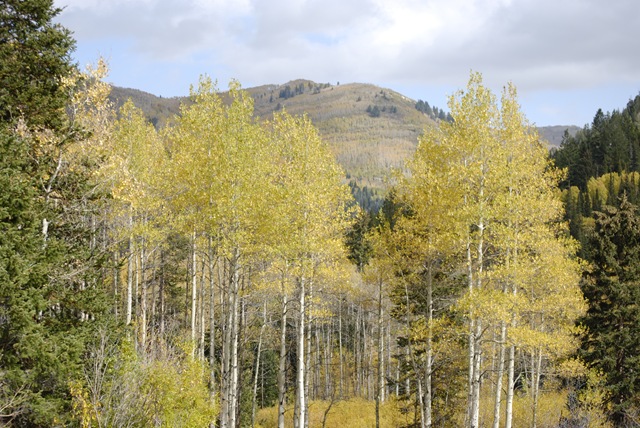 [Oct 10 2008 226[5].jpg]