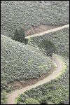 [JourneyRoad[11].jpg]