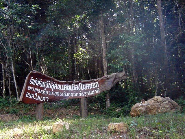 รูปภาพ