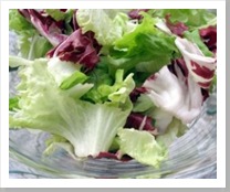 lettuce_salad_vegetable_240845_l