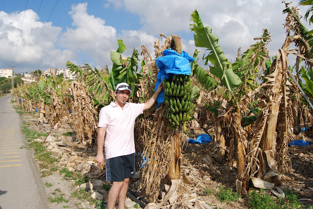 La cules de banane - Cyprus