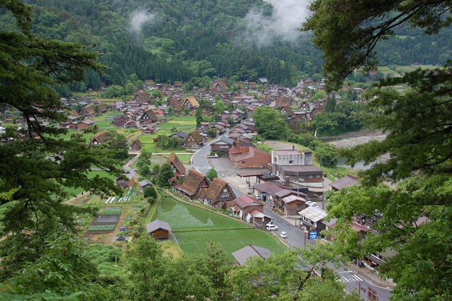 [DSC_9102[5].jpg]