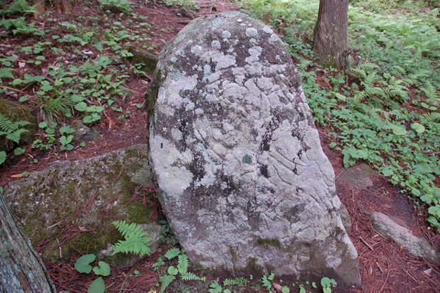 [DSC_97402.jpg]