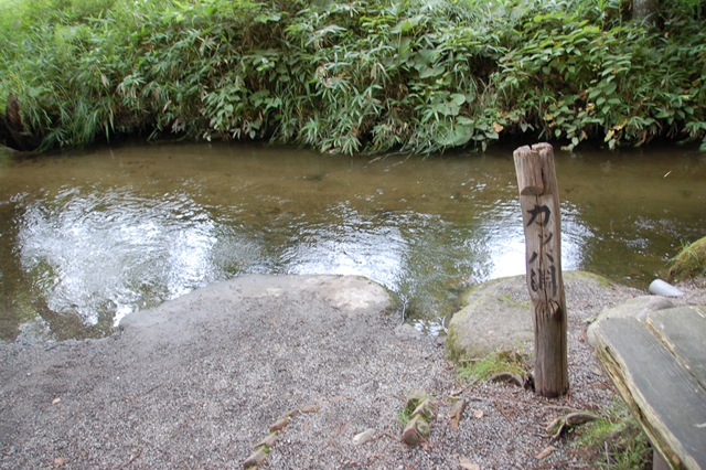 [DSC_98362.jpg]