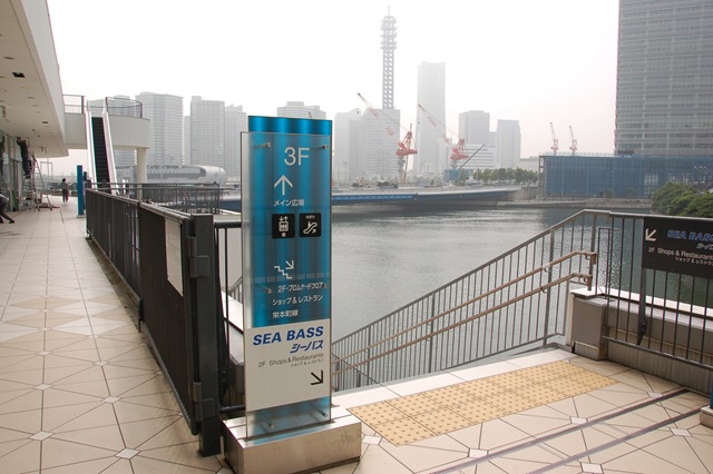 [DSC_11245.jpg]