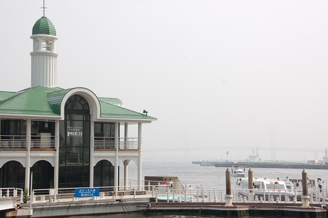 [DSC_11663.jpg]