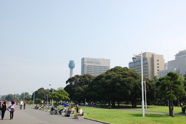 [DSC_13313.jpg]