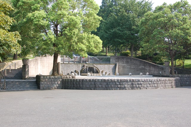 [DSC_13443.jpg]