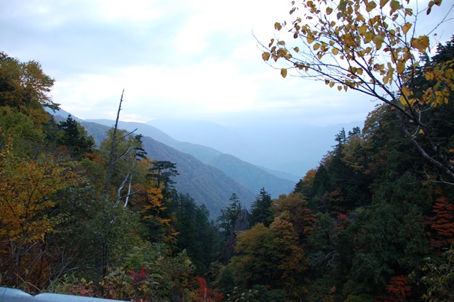 [DSC_3287[2].jpg]