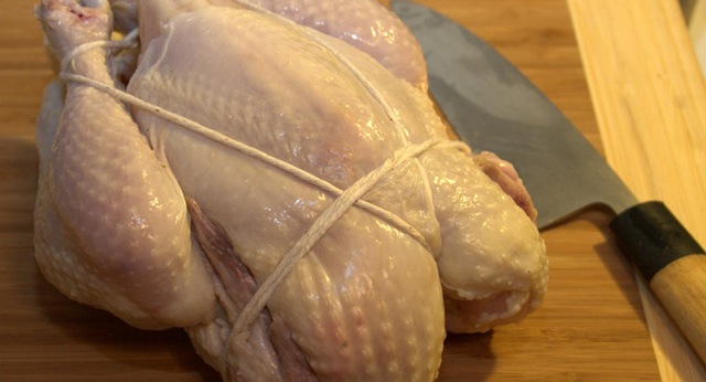 [Shibari_Chicken0053.jpg]