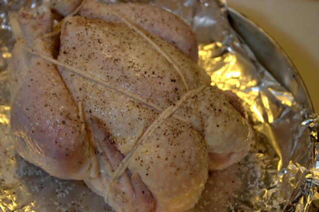 [Shibari_Chicken006[3].jpg]