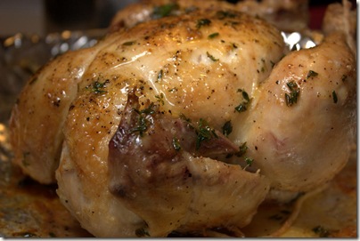 Shibari_Chicken010