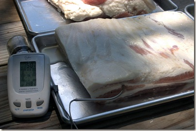 Fresh Bacon011