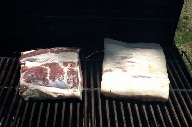 [Fresh Bacon012[3].jpg]