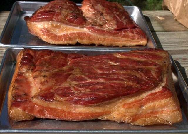 [Fresh Bacon017[3].jpg]