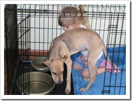Kayna's crate
