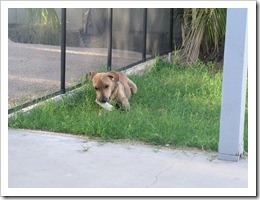 Kayna's First Day 001