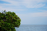 DSC_0142.JPG