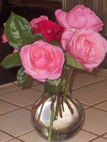 [roses 009[3].jpg]