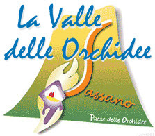 festa sassano valle delle orchidee