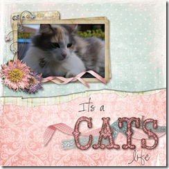 catslife080519