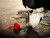 User profile picture thumbnail