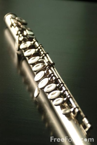 [05_24_53---Flute_web[3].jpg]
