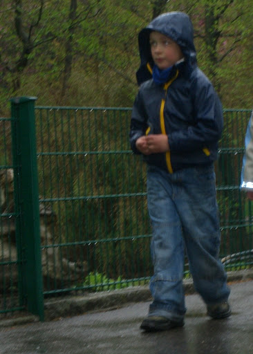 Zoo 2