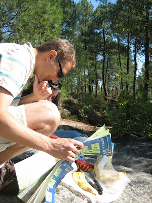 forêt de fontainebleau claudinette