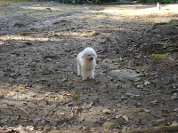 DSC05032.jpg