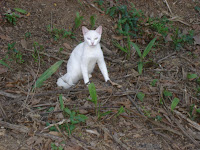 DSC05095.jpg