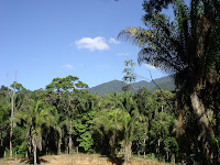 DSC05068.jpg