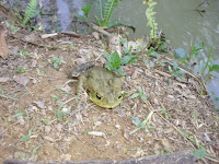 DSC05091.jpg
