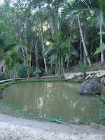 DSC05040.jpg