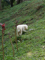 DSC05082.jpg