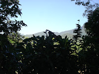 DSC05078.jpg