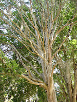DSC05073.jpg