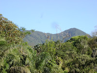 DSC05089.jpg
