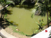 DSC05130.jpg