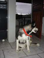 DSC05450.JPG