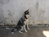 dsc06246.jpg