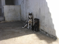 dsc06248.jpg