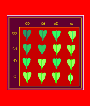 [image32.png]